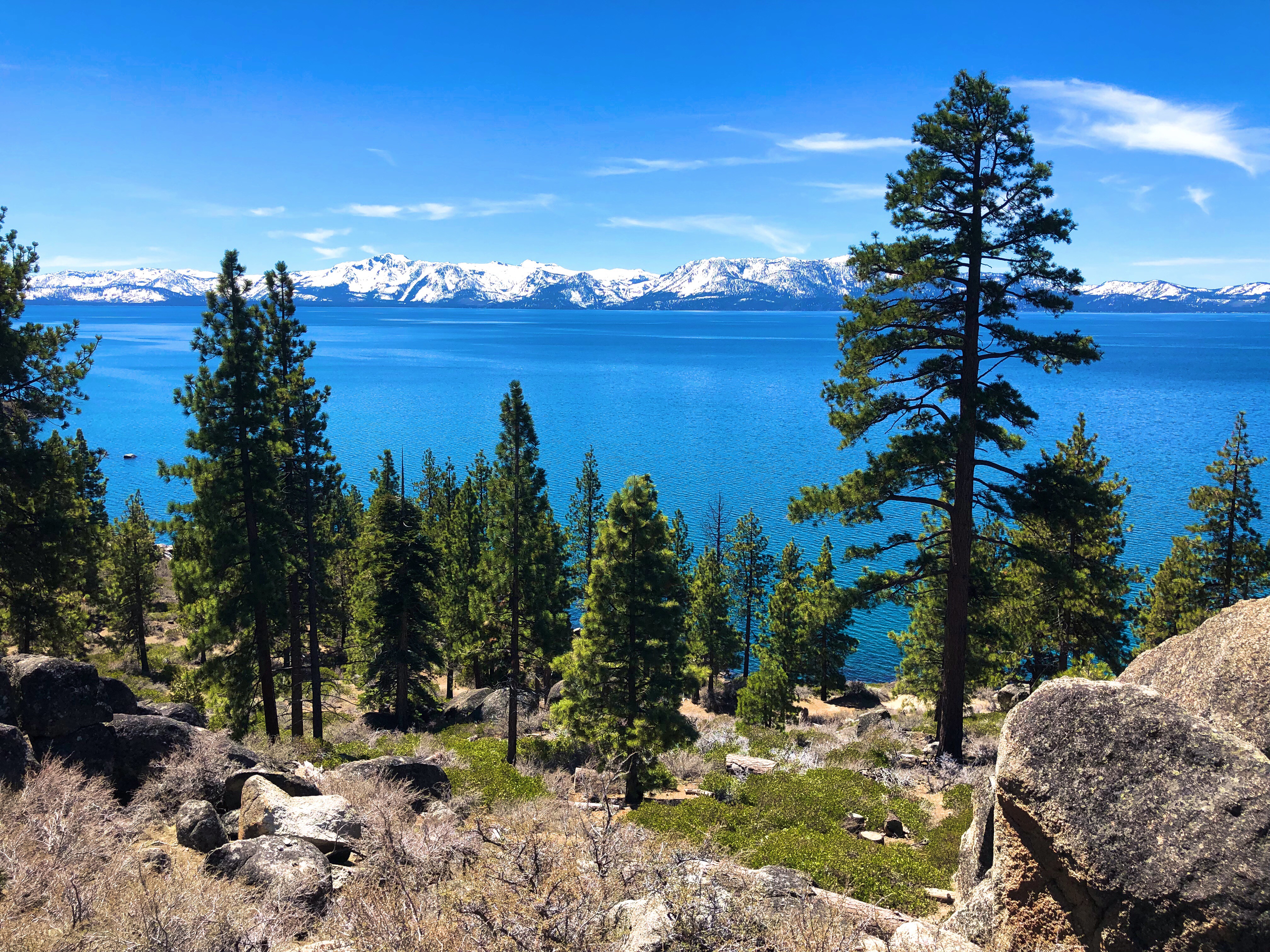 EC10212C-FA50-4EC5-B2D0-DDCAA455F28F