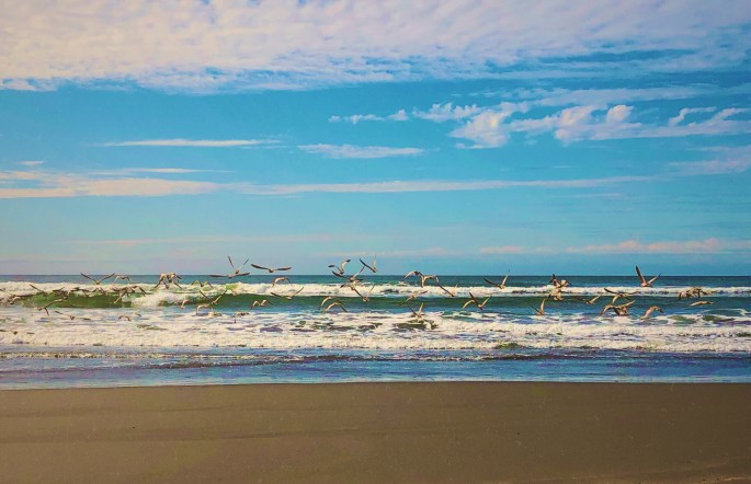 5991ED14-23BD-444E-A697-580F9A0ADE39