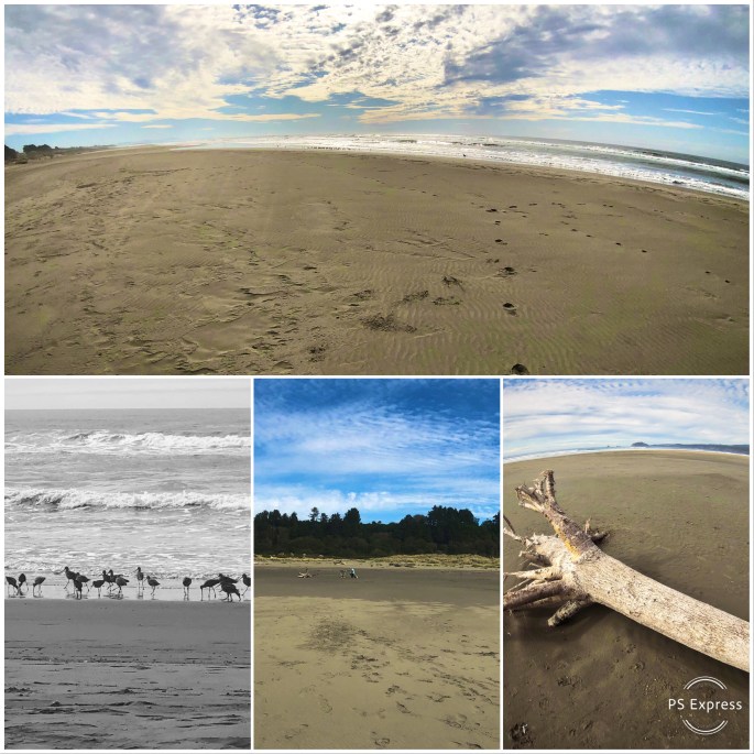 685CEAF9-2D7C-4FFF-9101-DA0D1A6A6B0D