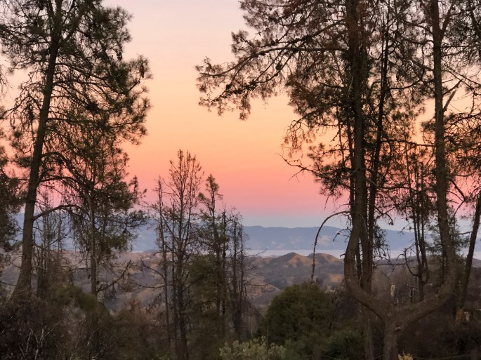 90013844-B0C0-45CE-BAB2-BDC62B70CEAB